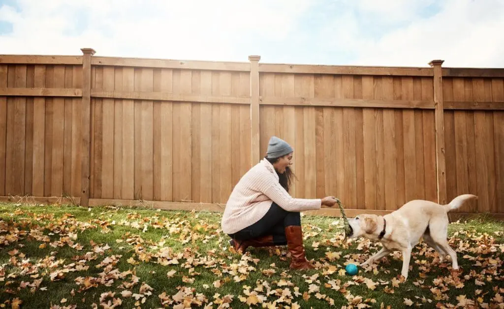 Wood Privacy Fence behind Indiana homeowner with dog