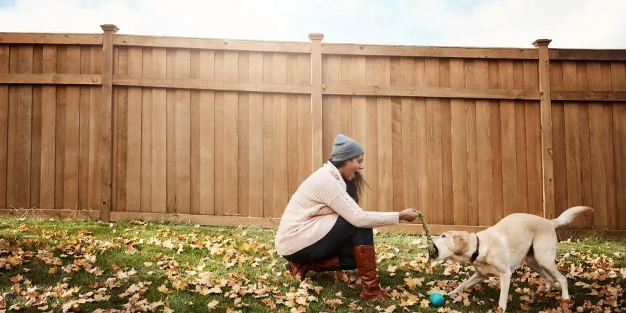 Wood Privacy Fence behind Indiana homeowner with dog