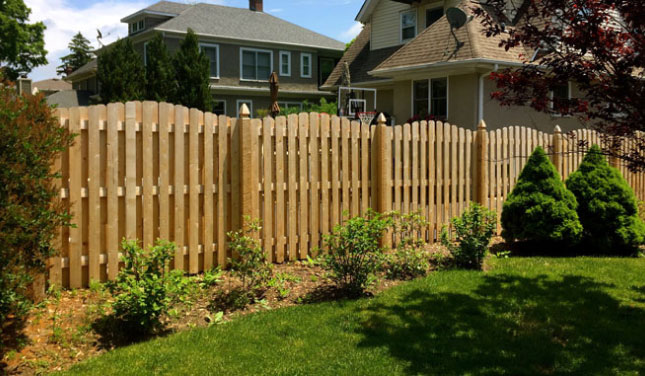 wooden fence in backyard in indianapolis